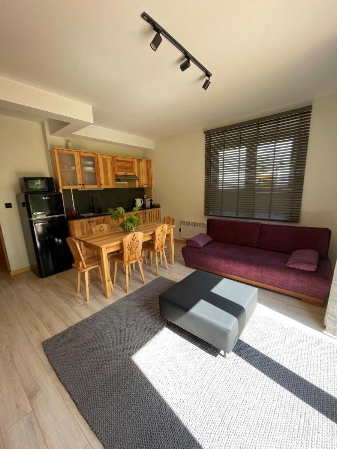 Apartament Zakopane Willa Hrube Parter Z Tarasem I Kominkiem Buitenkant foto