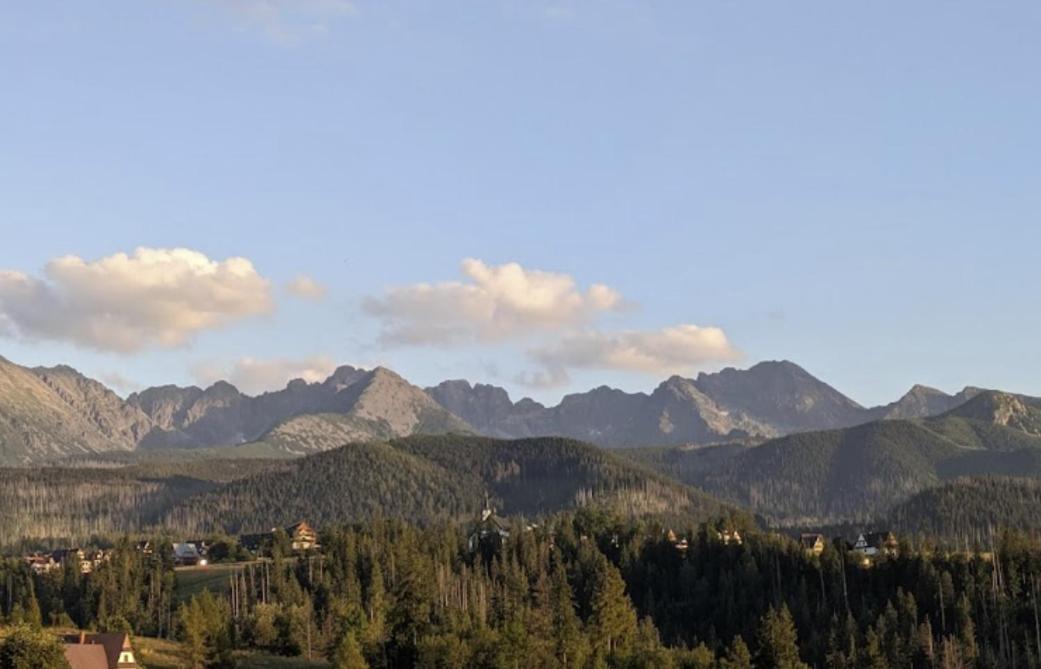 Apartament Zakopane Willa Hrube Parter Z Tarasem I Kominkiem Buitenkant foto